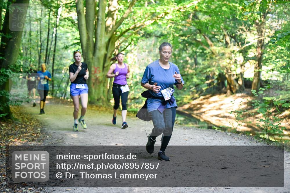 28.09.2025 - 33. Volkslauf durch das schöne Alstertal Dr. Thomas Lammeyer http://msf.ph/oto/8957857 28.09.2025 10:49:37 Laufen  meine-sportfotos.de