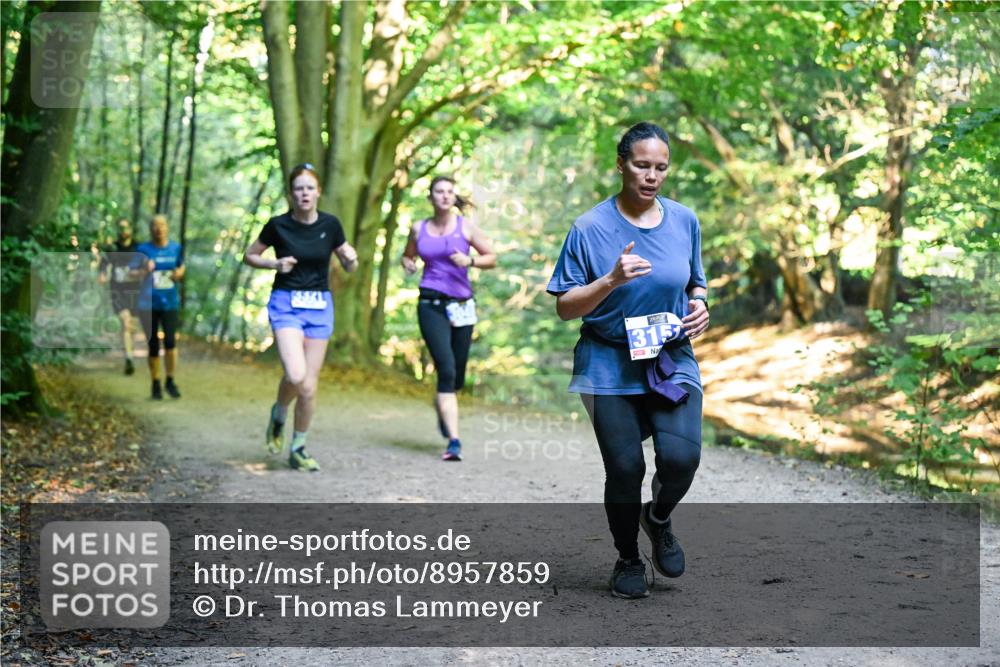 28.09.2025 - 33. Volkslauf durch das schöne Alstertal Dr. Thomas Lammeyer http://msf.ph/oto/8957859 28.09.2025 10:49:37 Laufen 315 meine-sportfotos.de