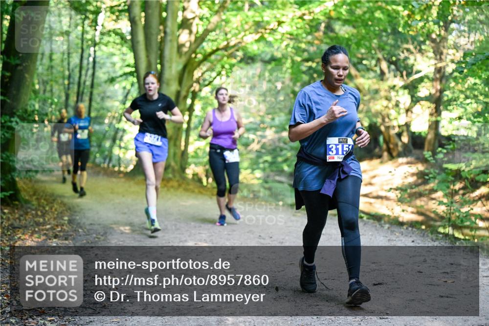 28.09.2025 - 33. Volkslauf durch das schöne Alstertal Dr. Thomas Lammeyer http://msf.ph/oto/8957860 28.09.2025 10:49:37 Laufen 315 meine-sportfotos.de