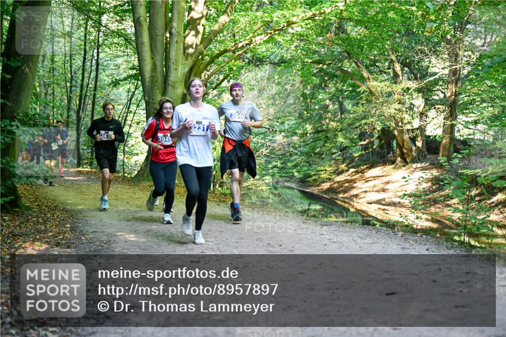 28.09.2025 - 33. Volkslauf durch das schöne Alstertal Dr. Thomas Lammeyer http://msf.ph/oto/8957897 28.09.2025 10:49:47 Laufen 3945, 3946 meine-sportfotos.de