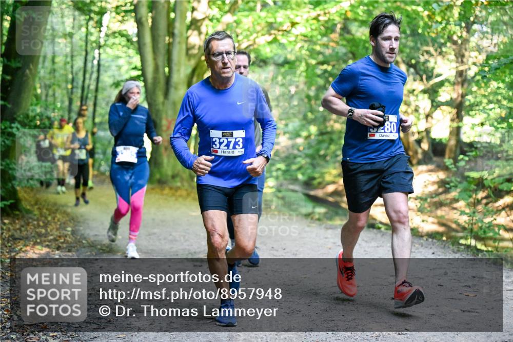 28.09.2025 - 33. Volkslauf durch das schöne Alstertal Dr. Thomas Lammeyer http://msf.ph/oto/8957948 28.09.2025 10:49:55 Laufen 3273, 280 meine-sportfotos.de