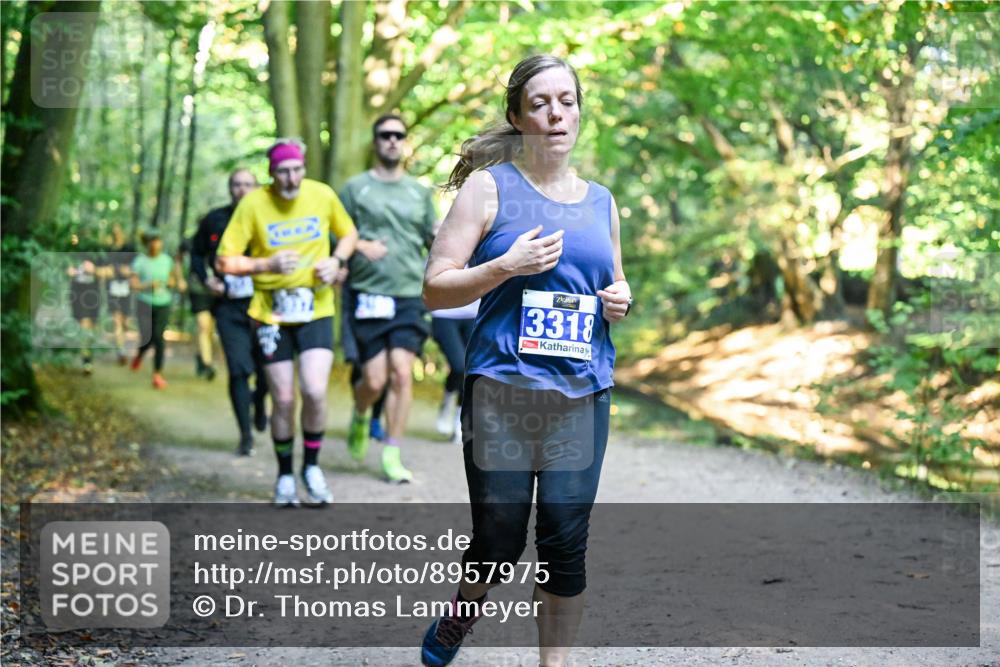28.09.2025 - 33. Volkslauf durch das schöne Alstertal Dr. Thomas Lammeyer http://msf.ph/oto/8957975 28.09.2025 10:50:00 Laufen 3318 meine-sportfotos.de