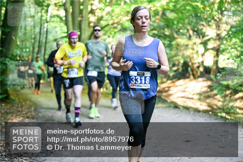 28.09.2025 - 33. Volkslauf durch das schöne Alstertal Dr. Thomas Lammeyer http://msf.ph/oto/8957976 28.09.2025 10:50:00 Laufen 3318 meine-sportfotos.de