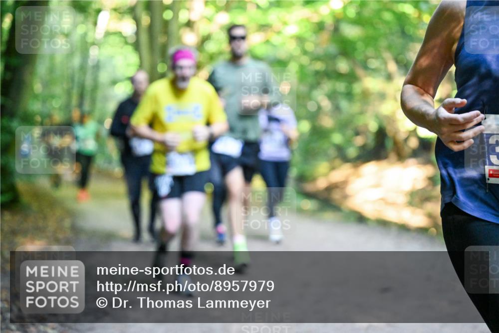 28.09.2025 - 33. Volkslauf durch das schöne Alstertal Dr. Thomas Lammeyer http://msf.ph/oto/8957979 28.09.2025 10:50:01 Laufen  meine-sportfotos.de