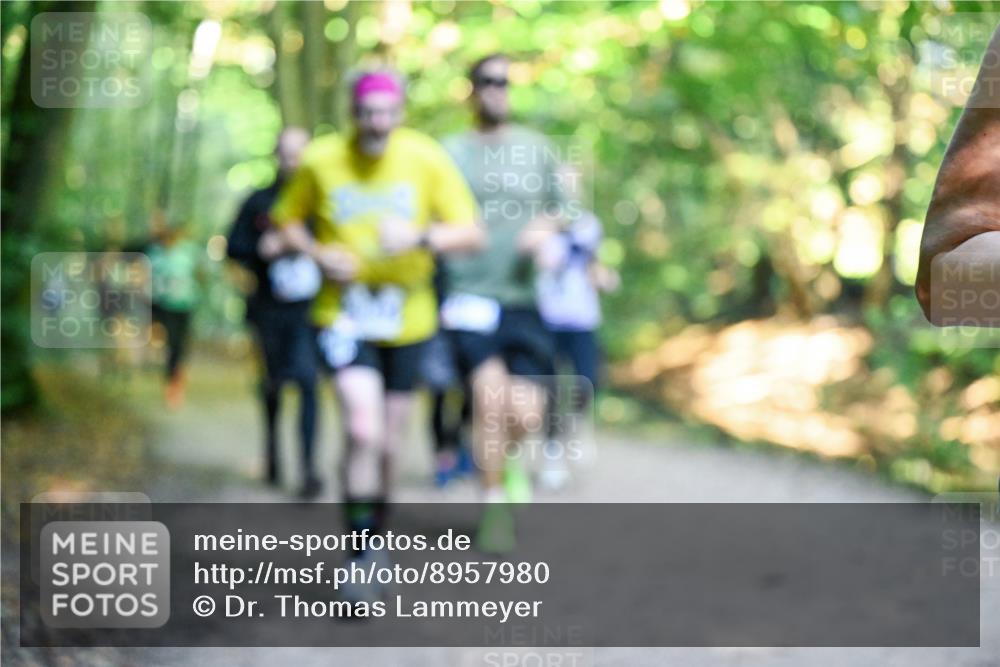 28.09.2025 - 33. Volkslauf durch das schöne Alstertal Dr. Thomas Lammeyer http://msf.ph/oto/8957980 28.09.2025 10:50:01 Laufen  meine-sportfotos.de
