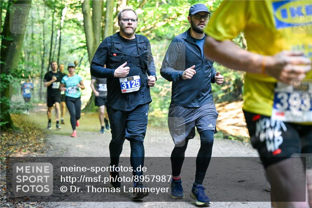 28.09.2025 - 33. Volkslauf durch das schöne Alstertal Dr. Thomas Lammeyer http://msf.ph/oto/8957987 28.09.2025 10:50:03 Laufen 3125, 393 meine-sportfotos.de