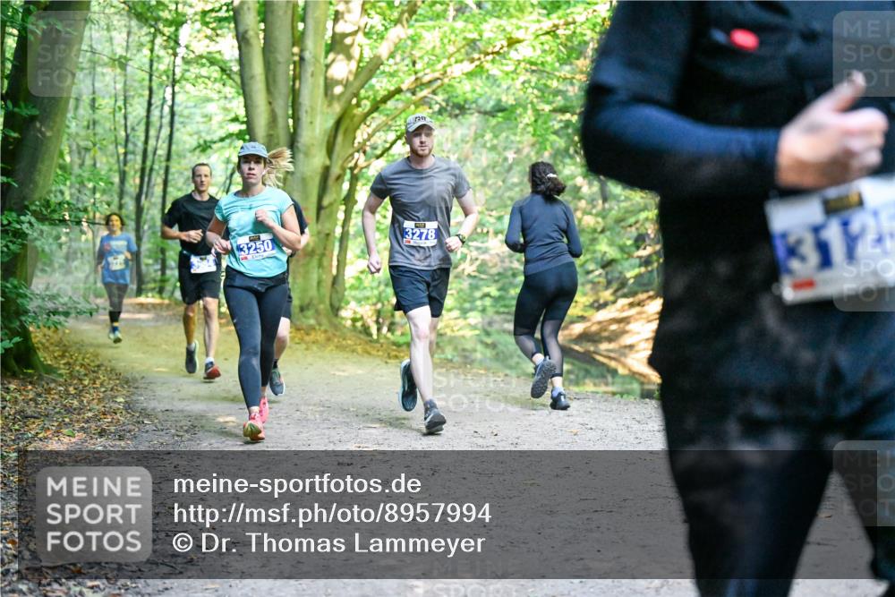 28.09.2025 - 33. Volkslauf durch das schöne Alstertal Dr. Thomas Lammeyer http://msf.ph/oto/8957994 28.09.2025 10:50:04 Laufen 3250, 3278, 312 meine-sportfotos.de