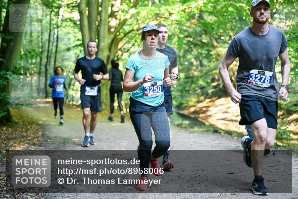 28.09.2025 - 33. Volkslauf durch das schöne Alstertal Dr. Thomas Lammeyer http://msf.ph/oto/8958006 28.09.2025 10:50:06 Laufen 3250, 3278 meine-sportfotos.de