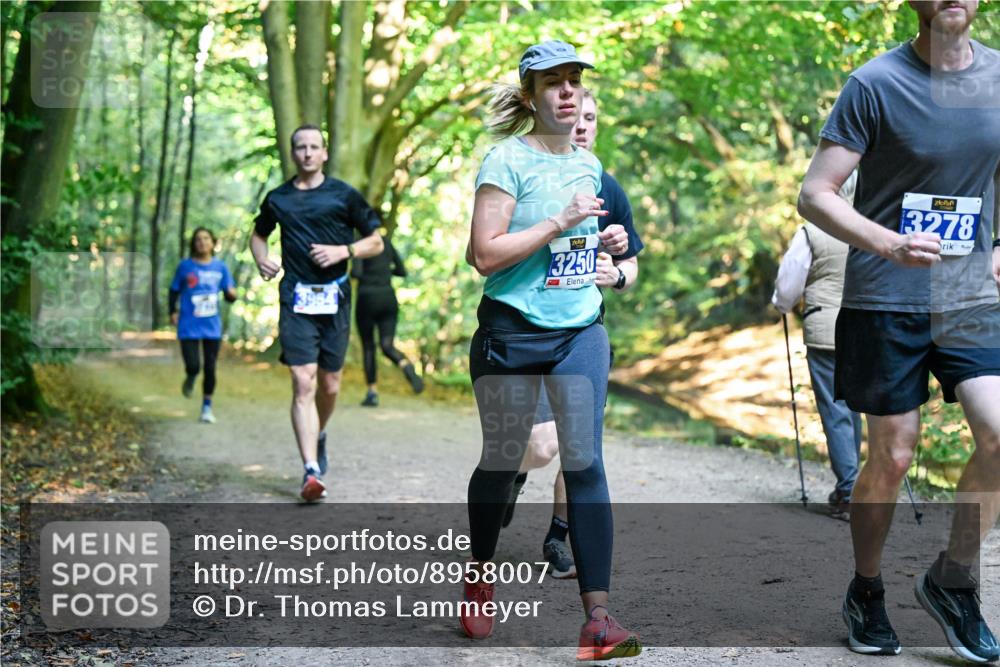 28.09.2025 - 33. Volkslauf durch das schöne Alstertal Dr. Thomas Lammeyer http://msf.ph/oto/8958007 28.09.2025 10:50:06 Laufen 3954, 3250, 3278 meine-sportfotos.de
