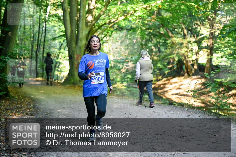 28.09.2025 - 33. Volkslauf durch das schöne Alstertal Dr. Thomas Lammeyer http://msf.ph/oto/8958027 28.09.2025 10:50:09 Laufen 3275 meine-sportfotos.de