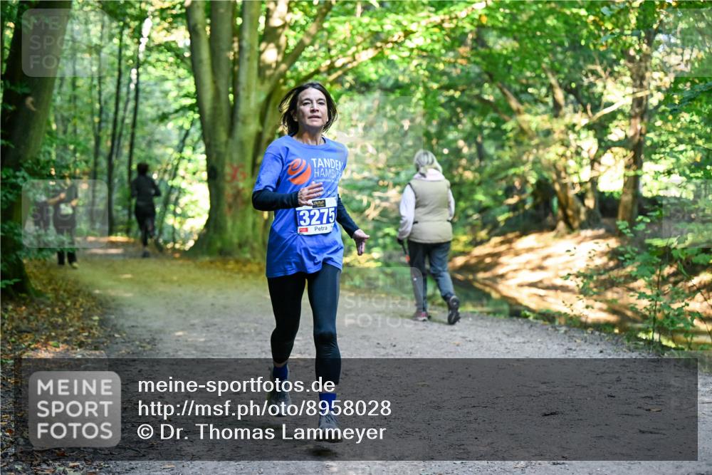 28.09.2025 - 33. Volkslauf durch das schöne Alstertal Dr. Thomas Lammeyer http://msf.ph/oto/8958028 28.09.2025 10:50:09 Laufen 3275 meine-sportfotos.de