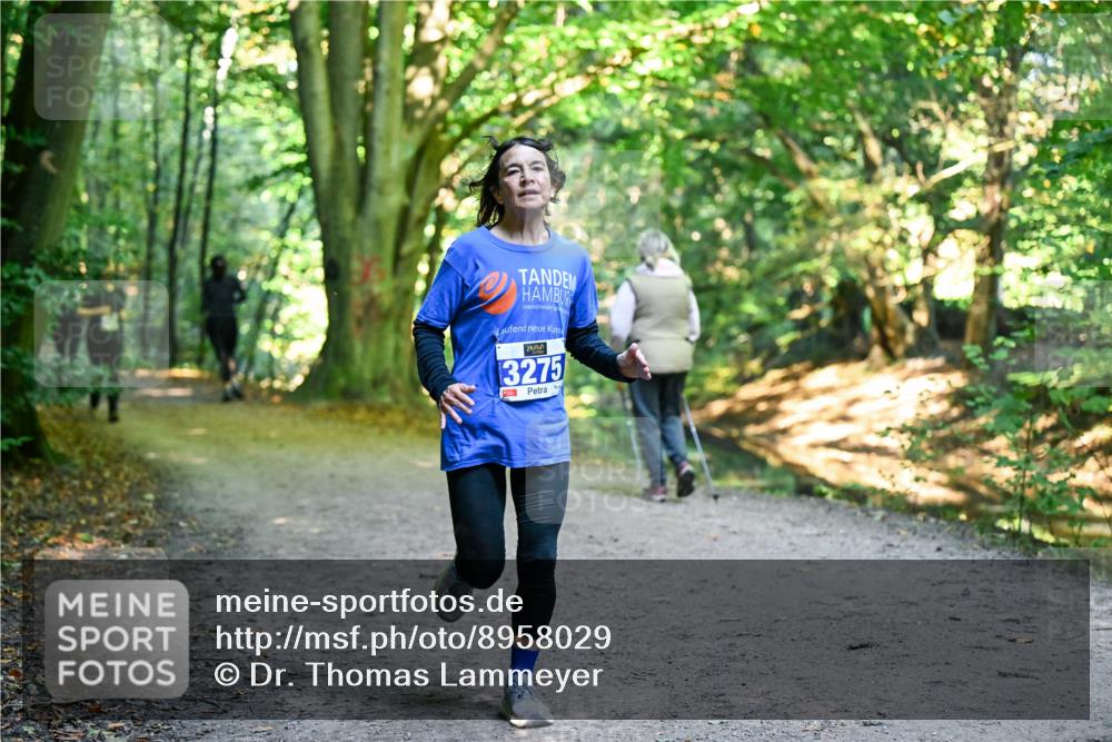 28.09.2025 - 33. Volkslauf durch das schöne Alstertal Dr. Thomas Lammeyer http://msf.ph/oto/8958029 28.09.2025 10:50:09 Laufen 3275 meine-sportfotos.de