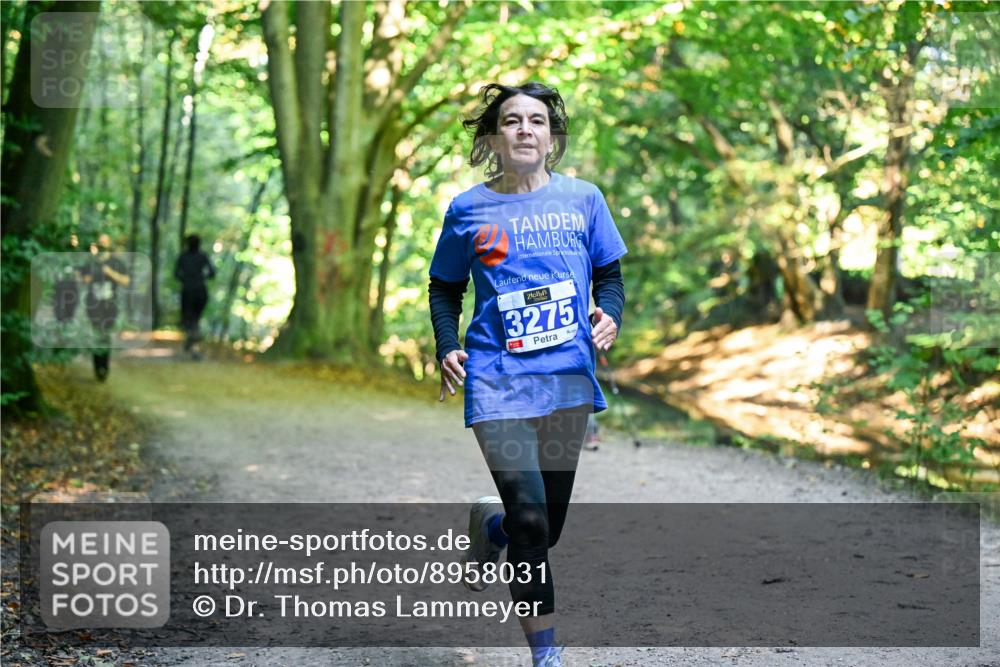 28.09.2025 - 33. Volkslauf durch das schöne Alstertal Dr. Thomas Lammeyer http://msf.ph/oto/8958031 28.09.2025 10:50:10 Laufen 3275 meine-sportfotos.de