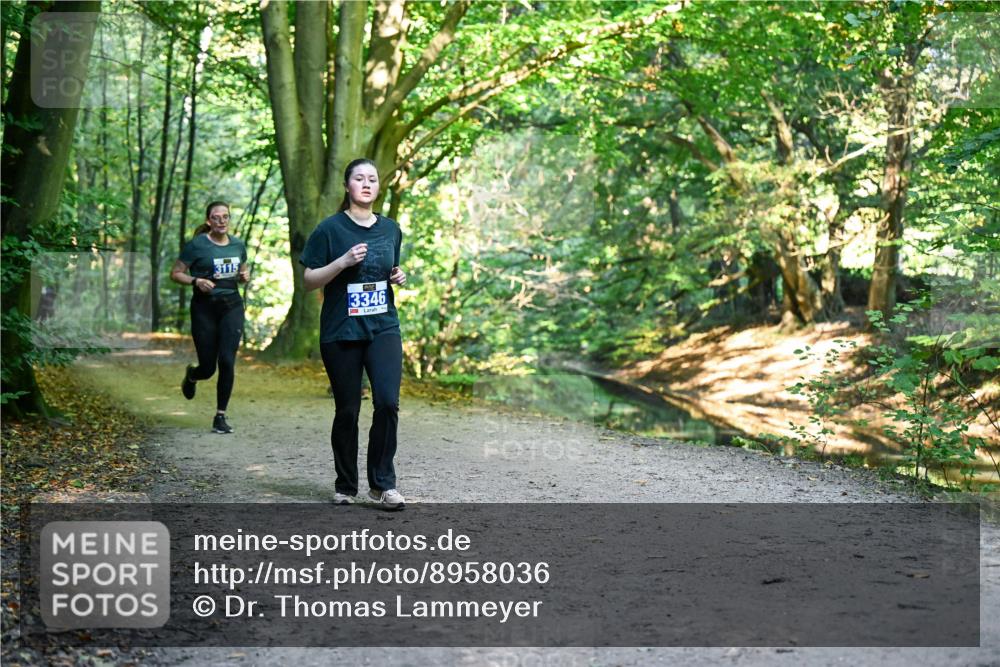 28.09.2025 - 33. Volkslauf durch das schöne Alstertal Dr. Thomas Lammeyer http://msf.ph/oto/8958036 28.09.2025 10:50:15 Laufen 3115, 3346 meine-sportfotos.de