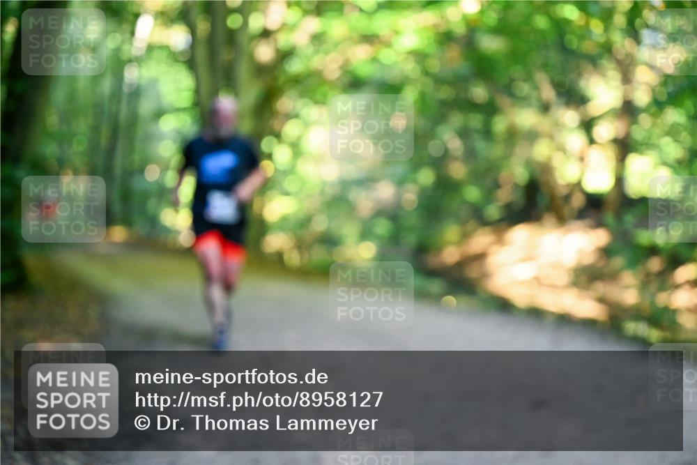 28.09.2025 - 33. Volkslauf durch das schöne Alstertal Dr. Thomas Lammeyer http://msf.ph/oto/8958127 28.09.2025 10:50:32 Laufen  meine-sportfotos.de