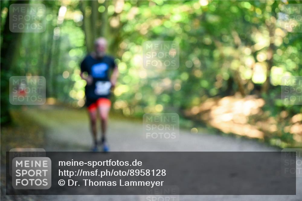 28.09.2025 - 33. Volkslauf durch das schöne Alstertal Dr. Thomas Lammeyer http://msf.ph/oto/8958128 28.09.2025 10:50:33 Laufen  meine-sportfotos.de
