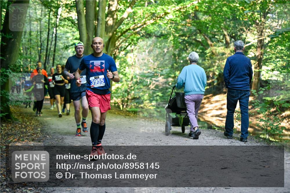 28.09.2025 - 33. Volkslauf durch das schöne Alstertal Dr. Thomas Lammeyer http://msf.ph/oto/8958145 28.09.2025 10:50:40 Laufen 88, 3955 meine-sportfotos.de