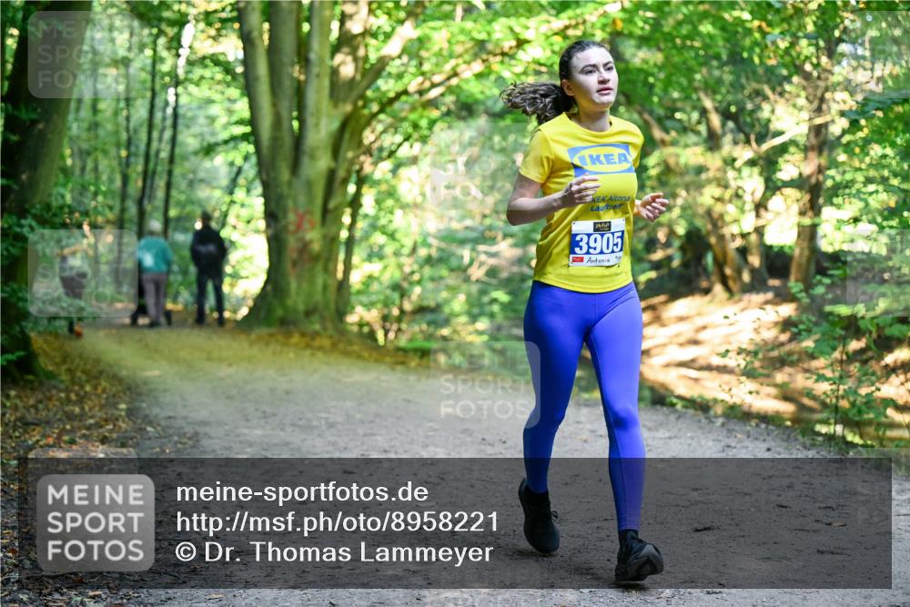 28.09.2025 - 33. Volkslauf durch das schöne Alstertal Dr. Thomas Lammeyer http://msf.ph/oto/8958221 28.09.2025 10:50:53 Laufen 7, 2, 0, 3905 meine-sportfotos.de