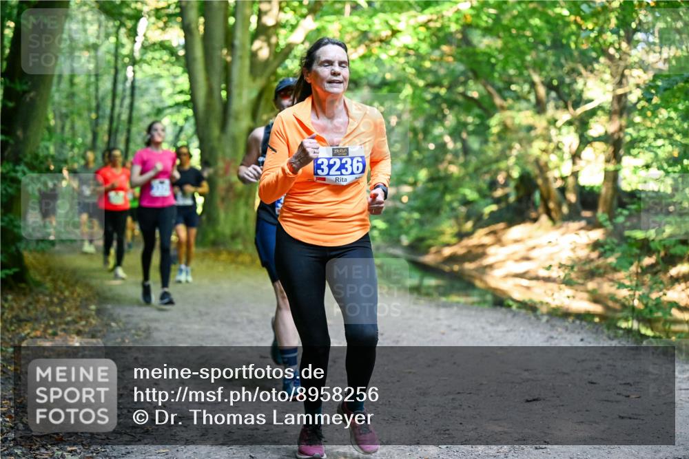 28.09.2025 - 33. Volkslauf durch das schöne Alstertal Dr. Thomas Lammeyer http://msf.ph/oto/8958256 28.09.2025 10:51:08 Laufen 13236 meine-sportfotos.de