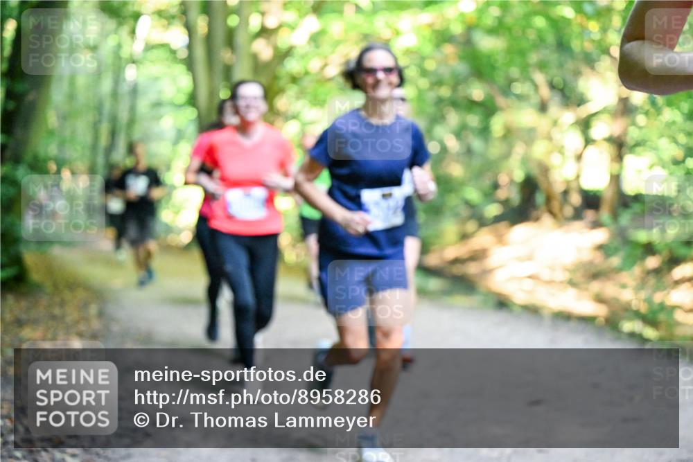 28.09.2025 - 33. Volkslauf durch das schöne Alstertal Dr. Thomas Lammeyer http://msf.ph/oto/8958286 28.09.2025 10:51:13 Laufen  meine-sportfotos.de