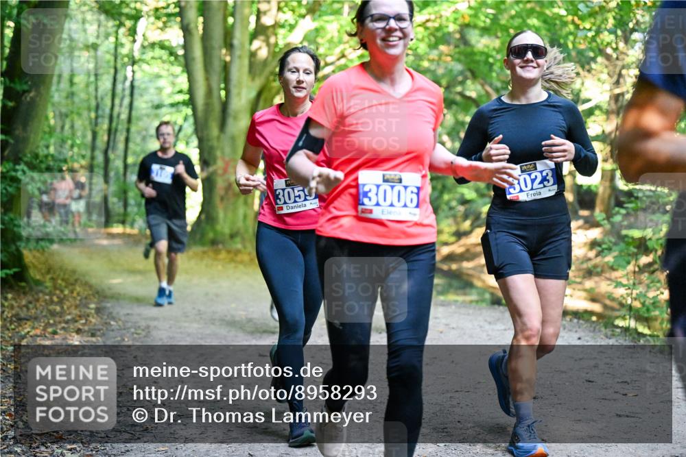 28.09.2025 - 33. Volkslauf durch das schöne Alstertal Dr. Thomas Lammeyer http://msf.ph/oto/8958293 28.09.2025 10:51:14 Laufen 305, 3006, 3023 meine-sportfotos.de