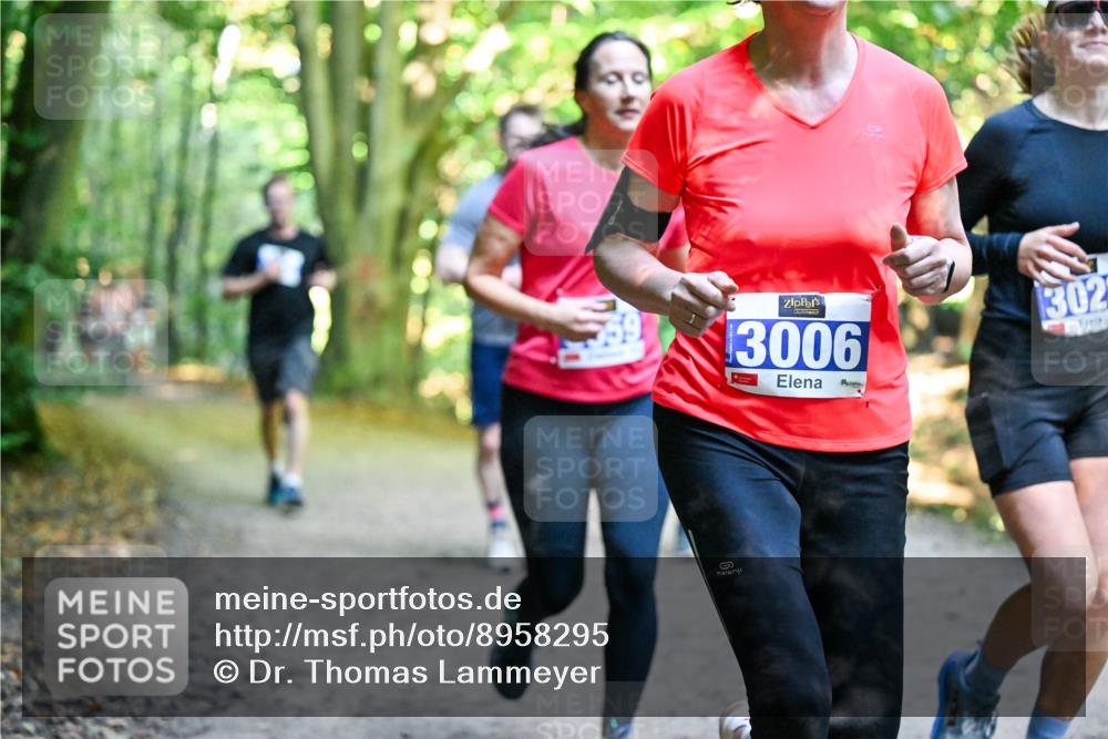 28.09.2025 - 33. Volkslauf durch das schöne Alstertal Dr. Thomas Lammeyer http://msf.ph/oto/8958295 28.09.2025 10:51:14 Laufen 3006, 302 meine-sportfotos.de