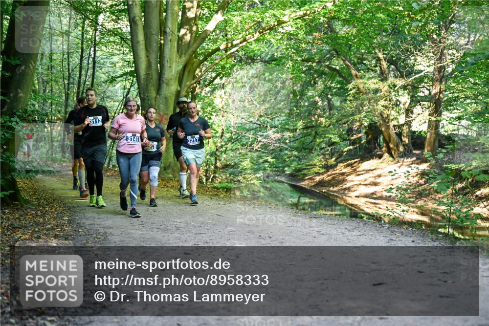 28.09.2025 - 33. Volkslauf durch das schöne Alstertal Dr. Thomas Lammeyer http://msf.ph/oto/8958333 28.09.2025 10:51:20 Laufen 3112, 3141, 3217 meine-sportfotos.de