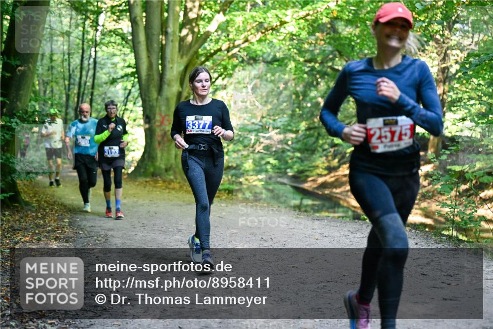 28.09.2025 - 33. Volkslauf durch das schöne Alstertal Dr. Thomas Lammeyer http://msf.ph/oto/8958411 28.09.2025 10:51:31 Laufen 3086, 3193, 3377, 2575 meine-sportfotos.de