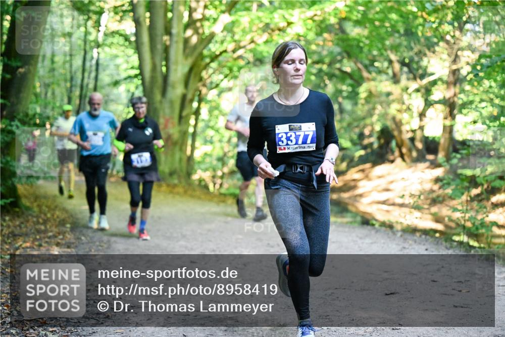 28.09.2025 - 33. Volkslauf durch das schöne Alstertal Dr. Thomas Lammeyer http://msf.ph/oto/8958419 28.09.2025 10:51:32 Laufen 3377 meine-sportfotos.de