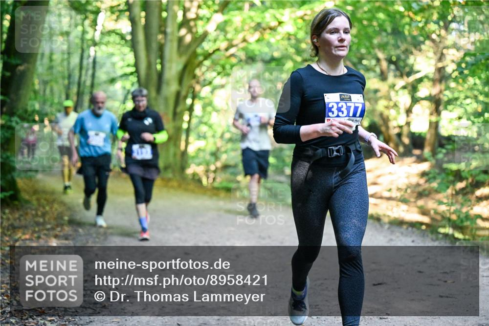 28.09.2025 - 33. Volkslauf durch das schöne Alstertal Dr. Thomas Lammeyer http://msf.ph/oto/8958421 28.09.2025 10:51:32 Laufen 3377 meine-sportfotos.de