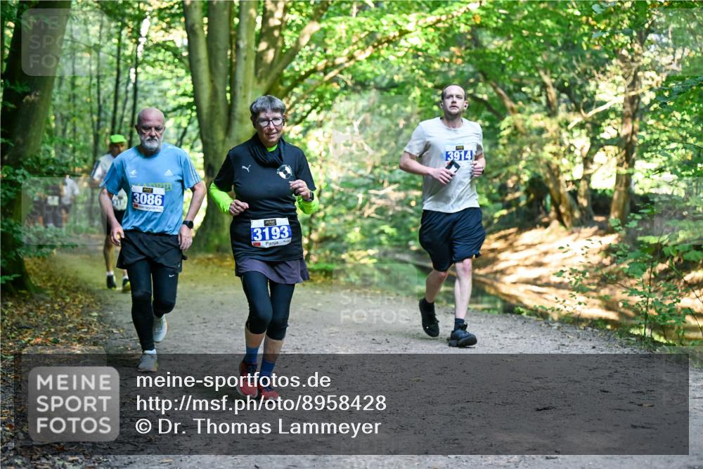 28.09.2025 - 33. Volkslauf durch das schöne Alstertal Dr. Thomas Lammeyer http://msf.ph/oto/8958428 28.09.2025 10:51:33 Laufen 3086, 3193, 3914 meine-sportfotos.de