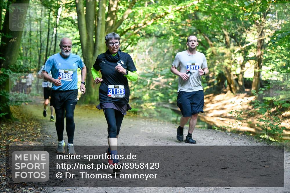 28.09.2025 - 33. Volkslauf durch das schöne Alstertal Dr. Thomas Lammeyer http://msf.ph/oto/8958429 28.09.2025 10:51:34 Laufen 3086, 3193, 2, 3914 meine-sportfotos.de