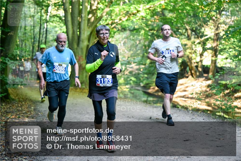 28.09.2025 - 33. Volkslauf durch das schöne Alstertal Dr. Thomas Lammeyer http://msf.ph/oto/8958431 28.09.2025 10:51:34 Laufen 3086, 3193, 3914 meine-sportfotos.de