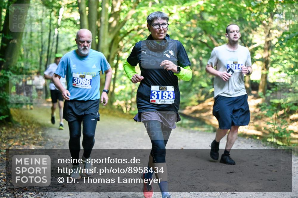 28.09.2025 - 33. Volkslauf durch das schöne Alstertal Dr. Thomas Lammeyer http://msf.ph/oto/8958434 28.09.2025 10:51:34 Laufen 3086, 3193, 3914 meine-sportfotos.de