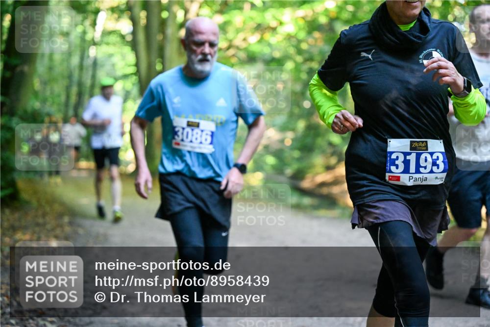 28.09.2025 - 33. Volkslauf durch das schöne Alstertal Dr. Thomas Lammeyer http://msf.ph/oto/8958439 28.09.2025 10:51:35 Laufen 3086, 3193 meine-sportfotos.de