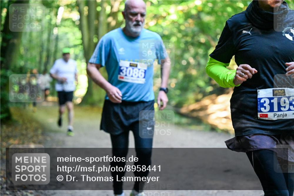 28.09.2025 - 33. Volkslauf durch das schöne Alstertal Dr. Thomas Lammeyer http://msf.ph/oto/8958441 28.09.2025 10:51:35 Laufen 3086, 3193 meine-sportfotos.de