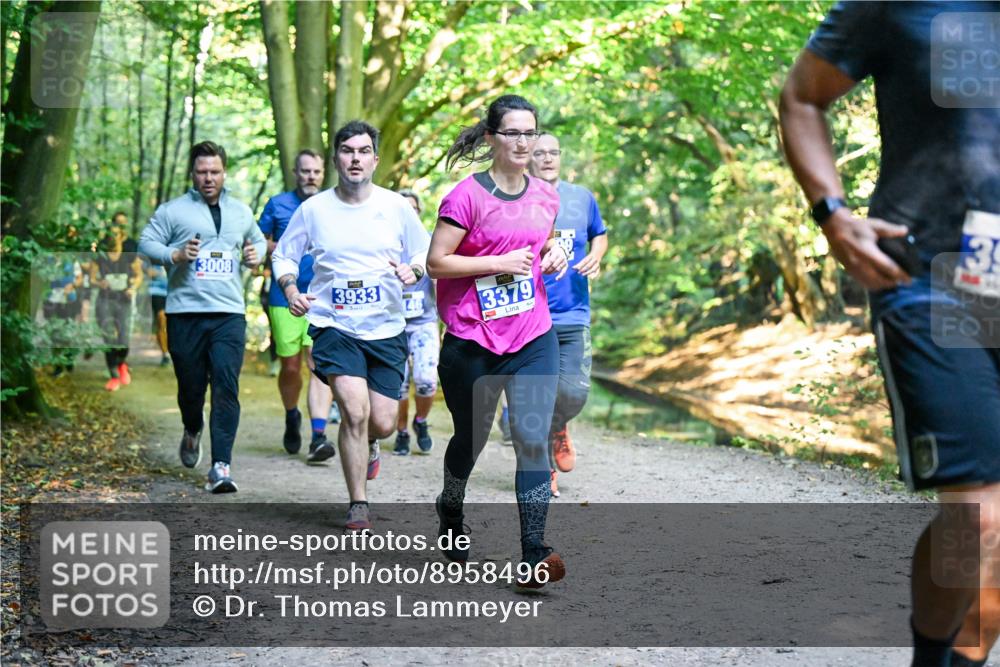 28.09.2025 - 33. Volkslauf durch das schöne Alstertal Dr. Thomas Lammeyer http://msf.ph/oto/8958496 28.09.2025 10:51:43 Laufen 3008, 3933, 3379, 39 meine-sportfotos.de