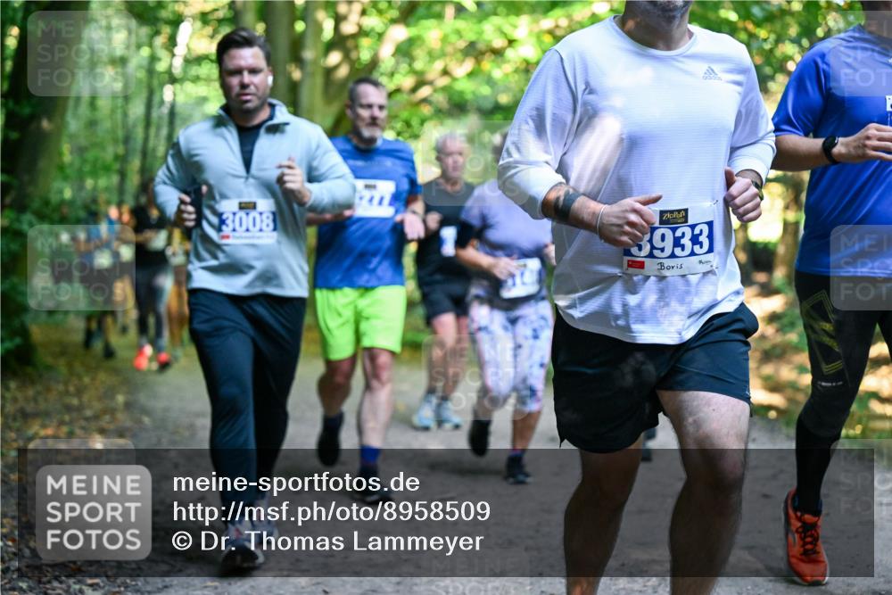 28.09.2025 - 33. Volkslauf durch das schöne Alstertal Dr. Thomas Lammeyer http://msf.ph/oto/8958509 28.09.2025 10:51:45 Laufen 3008, 3933 meine-sportfotos.de