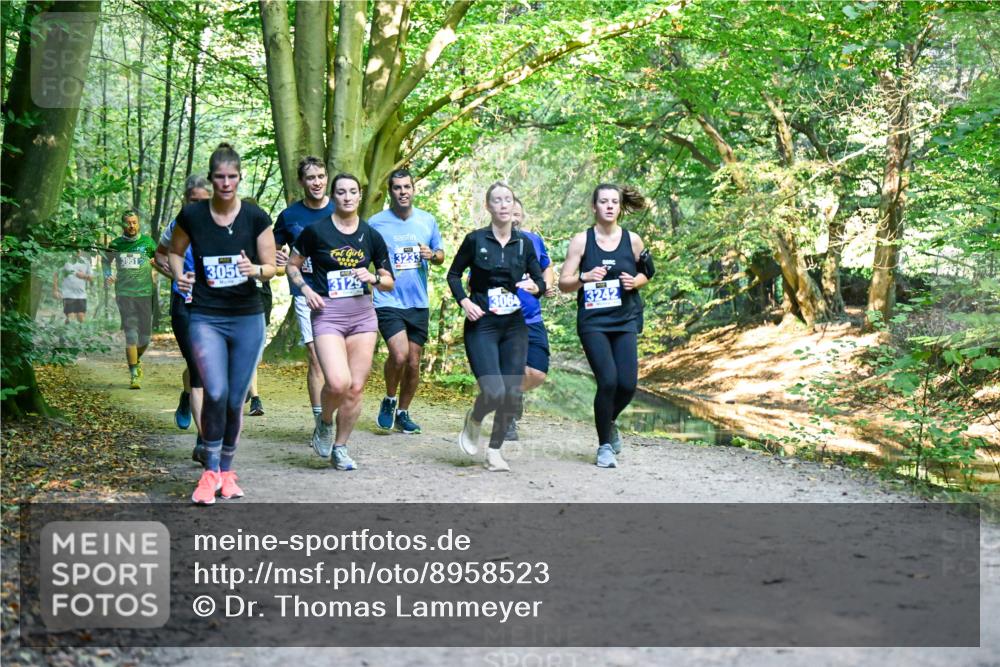 28.09.2025 - 33. Volkslauf durch das schöne Alstertal Dr. Thomas Lammeyer http://msf.ph/oto/8958523 28.09.2025 10:51:48 Laufen 3951, 3233, 305, 3129, 3242 meine-sportfotos.de