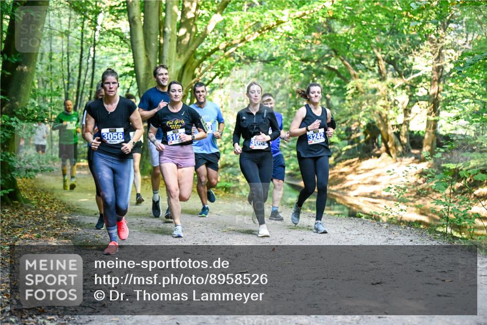 28.09.2025 - 33. Volkslauf durch das schöne Alstertal Dr. Thomas Lammeyer http://msf.ph/oto/8958526 28.09.2025 10:51:48 Laufen 3056, 312, 3009, 3242 meine-sportfotos.de