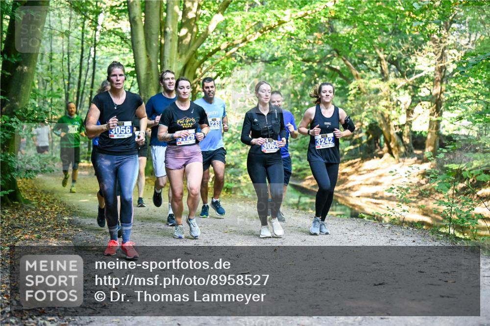 28.09.2025 - 33. Volkslauf durch das schöne Alstertal Dr. Thomas Lammeyer http://msf.ph/oto/8958527 28.09.2025 10:51:48 Laufen 3056, 3233, 529, 3064, 3242 meine-sportfotos.de