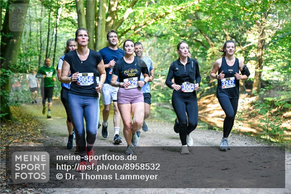 28.09.2025 - 33. Volkslauf durch das schöne Alstertal Dr. Thomas Lammeyer http://msf.ph/oto/8958532 28.09.2025 10:51:49 Laufen 3056, 29, 3064, 3, 3242 meine-sportfotos.de