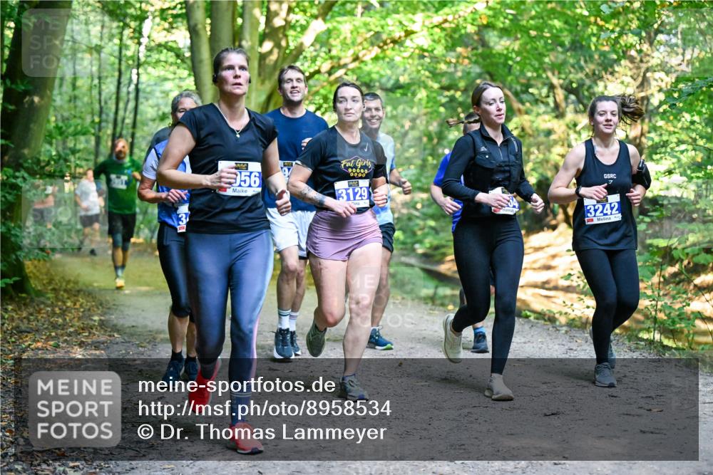 28.09.2025 - 33. Volkslauf durch das schöne Alstertal Dr. Thomas Lammeyer http://msf.ph/oto/8958534 28.09.2025 10:51:49 Laufen 56, 00000, 0000, 3129, 3242 meine-sportfotos.de