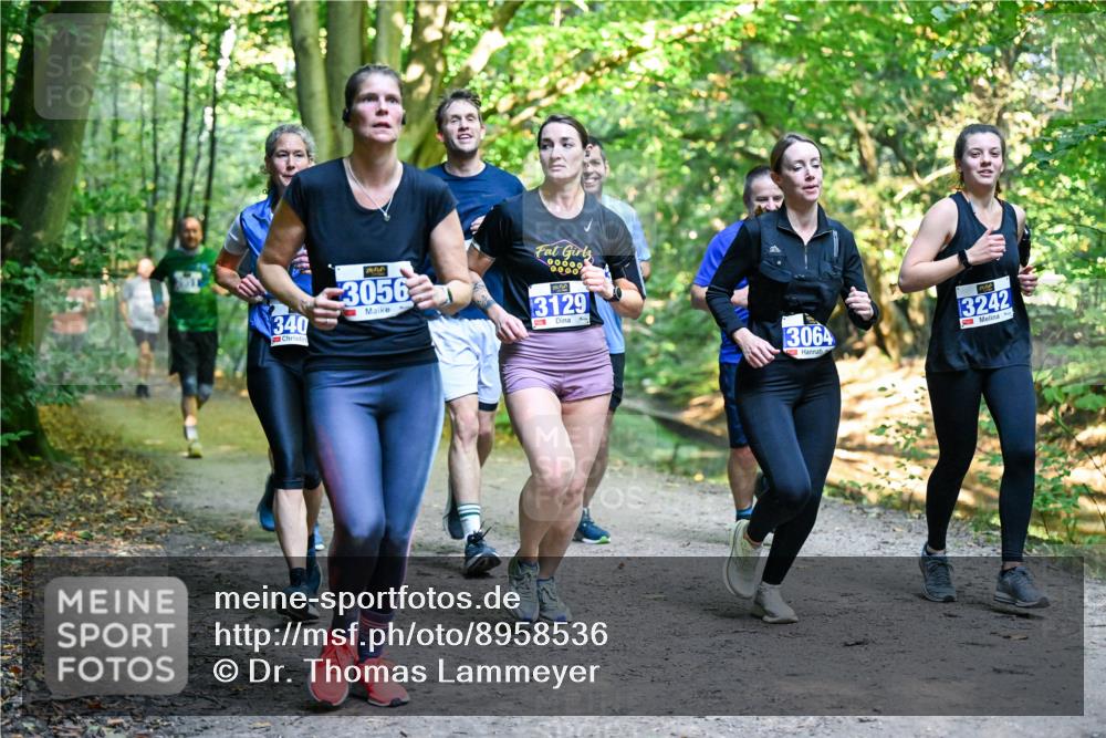 28.09.2025 - 33. Volkslauf durch das schöne Alstertal Dr. Thomas Lammeyer http://msf.ph/oto/8958536 28.09.2025 10:51:49 Laufen 340, 3056, 00000, 3129, 3064, 13242 meine-sportfotos.de