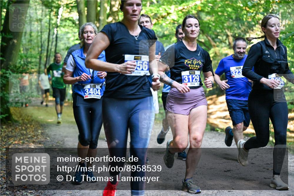 28.09.2025 - 33. Volkslauf durch das schöne Alstertal Dr. Thomas Lammeyer http://msf.ph/oto/8958539 28.09.2025 10:51:50 Laufen 3404, 56, 00000, 0000, 3129, 323 meine-sportfotos.de