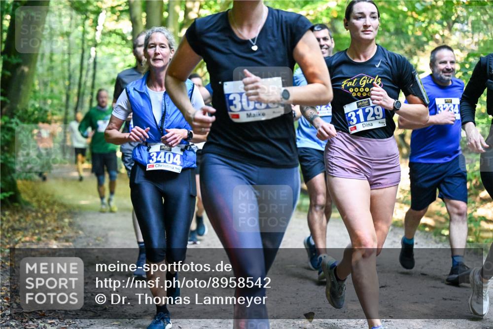 28.09.2025 - 33. Volkslauf durch das schöne Alstertal Dr. Thomas Lammeyer http://msf.ph/oto/8958542 28.09.2025 10:51:50 Laufen 3404, 36, 3129, 3234 meine-sportfotos.de