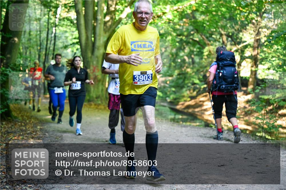 28.09.2025 - 33. Volkslauf durch das schöne Alstertal Dr. Thomas Lammeyer http://msf.ph/oto/8958603 28.09.2025 10:52:07 Laufen 3903 meine-sportfotos.de