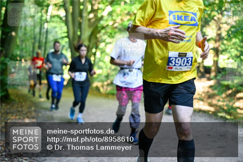28.09.2025 - 33. Volkslauf durch das schöne Alstertal Dr. Thomas Lammeyer http://msf.ph/oto/8958610 28.09.2025 10:52:08 Laufen 3903 meine-sportfotos.de