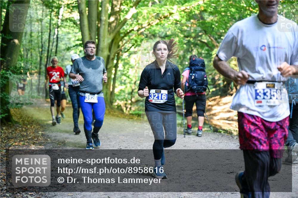 28.09.2025 - 33. Volkslauf durch das schöne Alstertal Dr. Thomas Lammeyer http://msf.ph/oto/8958616 28.09.2025 10:52:09 Laufen 3928, 3358, 3216 meine-sportfotos.de