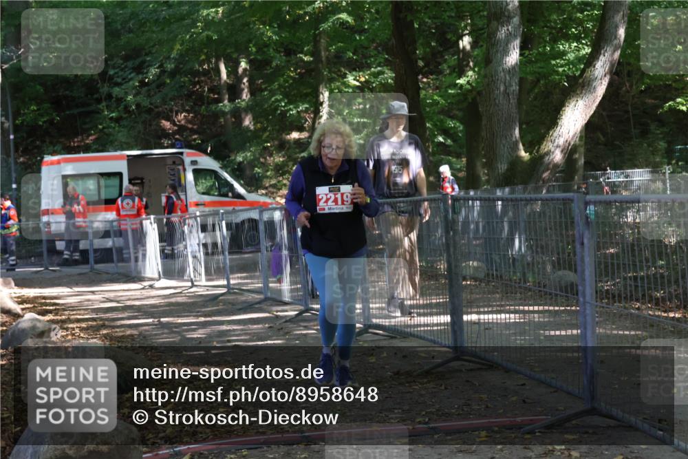 28.09.2025 - 33. Volkslauf durch das schöne Alstertal Strokosch-Dieckow http://msf.ph/oto/8958648 28.09.2025 13:38:54 Ziel 2219 meine-sportfotos.de